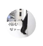 ムイスタンプ1（個別スタンプ：28）