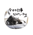 ムイスタンプ1（個別スタンプ：35）