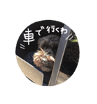 ムイスタンプ1（個別スタンプ：38）