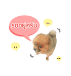 Ruampon Mhanarak（個別スタンプ：2）