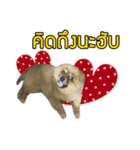 Ruampon Mhanarak（個別スタンプ：8）