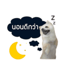 Ruampon Mhanarak（個別スタンプ：9）