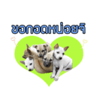 Ruampon Mhanarak（個別スタンプ：11）