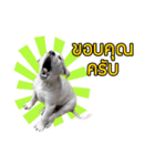 Ruampon Mhanarak（個別スタンプ：16）