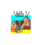 続おーい！と呼んでるパピヨン犬(英語)2（個別スタンプ：4）