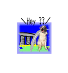 続おーい！と呼んでるパピヨン犬(英語)2（個別スタンプ：6）