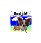 続おーい！と呼んでるパピヨン犬(英語)2（個別スタンプ：21）
