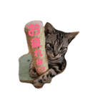 でんろく（個別スタンプ：5）