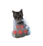 でんろく（個別スタンプ：12）