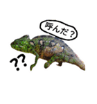 Haruo family（個別スタンプ：2）