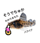Haruo family（個別スタンプ：7）
