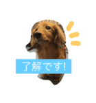 晴ハウス2（個別スタンプ：6）