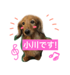 晴ハウス2（個別スタンプ：7）
