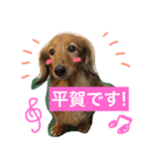 晴ハウス2（個別スタンプ：8）