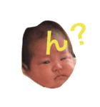 ひまちゃんだおだお（個別スタンプ：1）