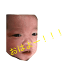 ひまちゃんだおだお（個別スタンプ：5）