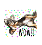 愛犬マロ（個別スタンプ：2）
