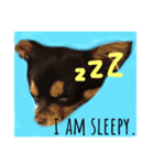 愛犬マロ（個別スタンプ：8）