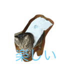 Haru5884（個別スタンプ：19）