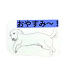 DOG CUTE17（個別スタンプ：4）