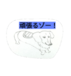 DOG CUTE17（個別スタンプ：5）