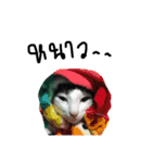 Mee-Tung The silly cat（個別スタンプ：13）