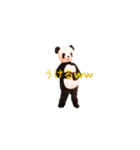 Chanchanchanchan（個別スタンプ：2）