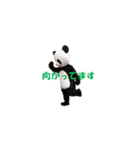 Chanchanchanchan（個別スタンプ：3）