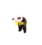 Chanchanchanchan（個別スタンプ：5）