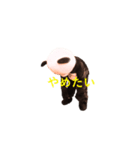 Chanchanchanchan（個別スタンプ：8）