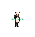 Chanchanchanchan（個別スタンプ：9）