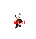 Chanchanchanchan（個別スタンプ：10）