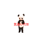 Chanchanchanchan（個別スタンプ：13）