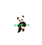Chanchanchanchan（個別スタンプ：14）