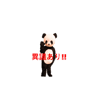 Chanchanchanchan（個別スタンプ：16）