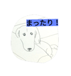 DOG CUTE 15（個別スタンプ：3）