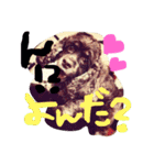 Lovely dogs ＆ Cat（個別スタンプ：7）