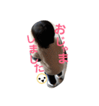 momomomoka（個別スタンプ：24）