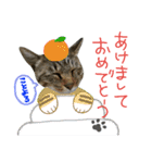 猫の寅次郎くん。vol.2（個別スタンプ：40）