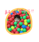 海君スタンプ（個別スタンプ：5）