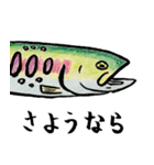 川の魚たち5（個別スタンプ：9）