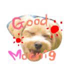りっちもっち（個別スタンプ：3）