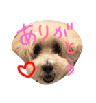 りっちもっち（個別スタンプ：10）