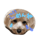 りっちもっち（個別スタンプ：11）