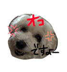 りっちもっち（個別スタンプ：12）