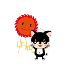 くろチワワのまめちゃんスタンプ♪（個別スタンプ：3）
