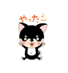 くろチワワのまめちゃんスタンプ♪（個別スタンプ：7）