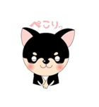 くろチワワのまめちゃんスタンプ♪（個別スタンプ：19）