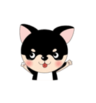 くろチワワのまめちゃんスタンプ♪（個別スタンプ：20）