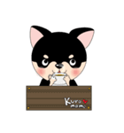 くろチワワのまめちゃんスタンプ♪（個別スタンプ：21）
